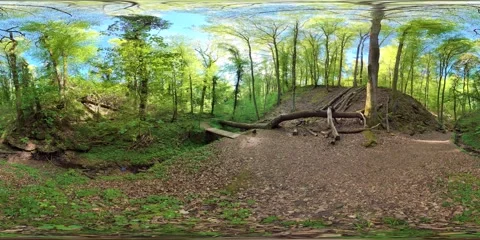 Hiking trail through a gorge with a stream, trees, and sandstone in the spring 動画素材 333776775