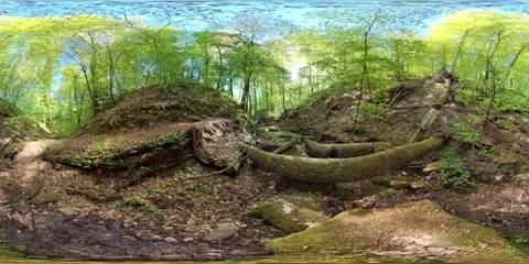 Hiking trail through a gorge with a stream, trees, and sandstone in the spring 動画素材 333776783