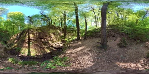 Hiking trail through a gorge with a stream, trees, and sandstone in the spring 스톡 동영상 333776882