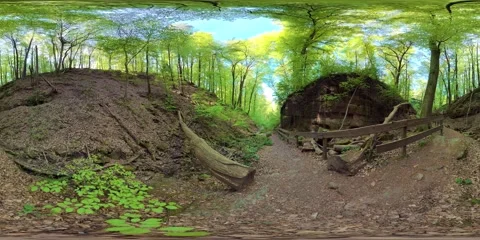 Hiking trail through a gorge with a stream, trees, and sandstone in the spring 動画素材 333776909