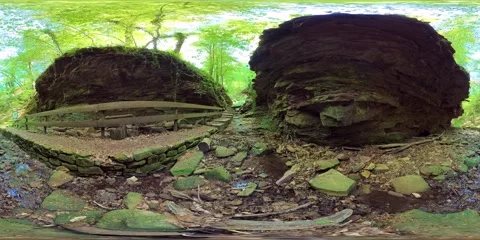 Hiking trail through a gorge with a stream, trees, and sandstone in the spring 動画素材 333777276