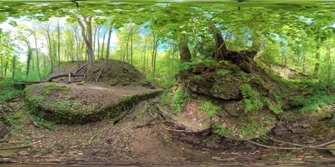 Hiking trail through a gorge with a stream, trees, and sandstone in the spring Vidéo 333777549