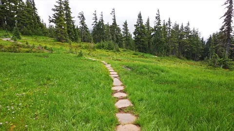 Hiking Trail through Lush Subalpine Meadow in Spray Park, Mount Rainier National Video stock 332081863