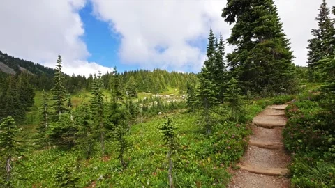 Hiking Trail through Vibrant Alpine Meadow in Spray Park, Mount Rainier National Video stock 332082343