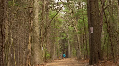 Hiking Trail Timelapse Vídeo Stock 37252323