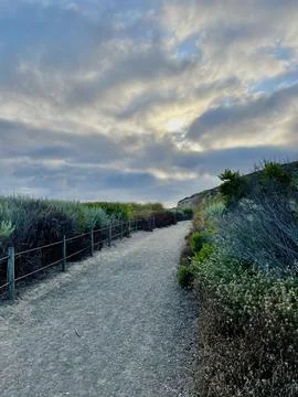 Hiking Trail With Unique Cloudscape During Sunset California Superbloom Stock Photos
