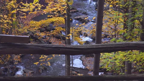 Hiking Trail View of Stream and Fall Colors Stock Footage 142328943