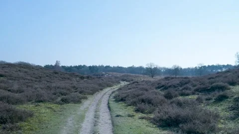 Hiking trail winding through a tranquil heathland valley Видео 335027099