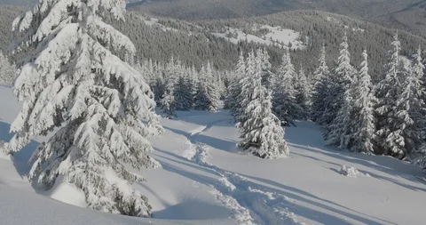Hiking trail in winter mountain. The tree with hoarfrost Stock Footage 112132794