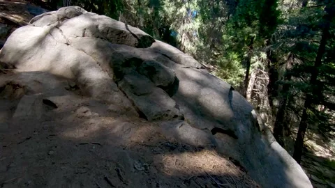 Hiking trail in the woods Stock Footage 137272393