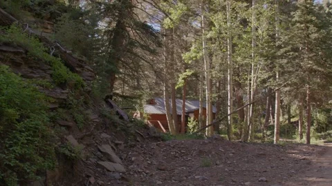Hiking Trail in the woods. Stock Footage 204870962