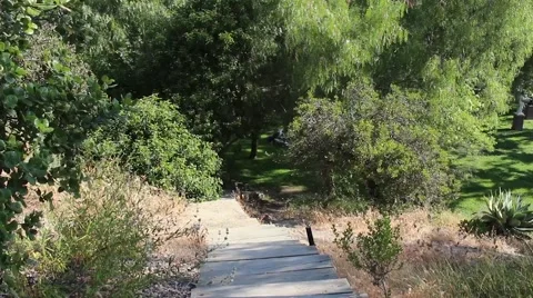 Hiking Trails 03 Stock Footage 49455187