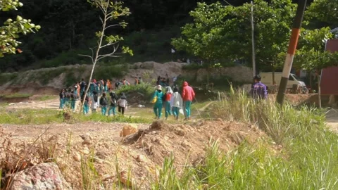  hiking trails 스톡 동영상 230955214