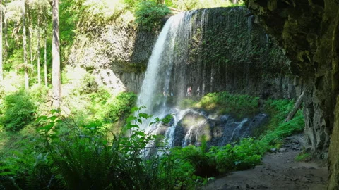 Hiking underneath waterfall Silver Falls State Park, Oregon Video stock 329134545