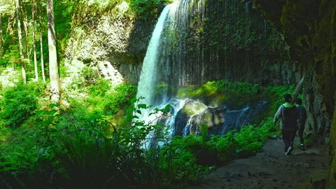 Hiking underneath waterfall Silver Falls State Park, Oregon Video stock 329135327