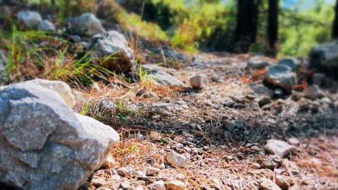 Hiking View From The Bottom 库存影片 98396473