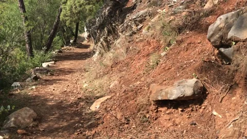 Hiking walk along a forest path in Benahavis nature. Stock Footage 132055424