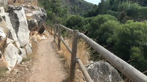 Hiking walk along a forest path with a wooden railing Stock Footage 132872762