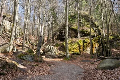 Hiking walking tourist path in spring forest with mountains Stock Photos