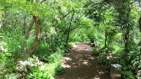 Hiking walkway Stock Footage 111885226