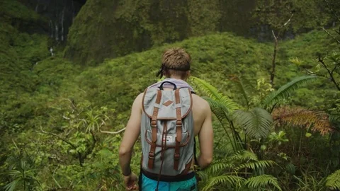 Hiking To A Waterfall Stock Footage 75252643