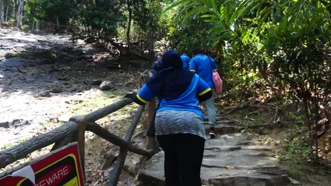 Hiking to the waterfall Stock Footage 146595781