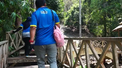 Hiking to the waterfall Stock Footage 146596429
