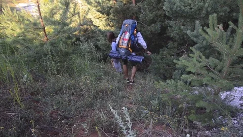 Hiking in the wild with a dog Stock Footage 87330889