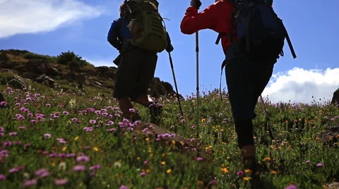 Hiking in wildflower field on Colorado mountain Stock Footage