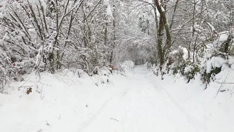 Hiking in the winter Stock Footage 146339579