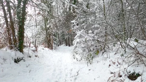 Hiking in the winter Stock Footage 146341082