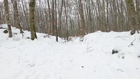 Hiking in the winter Stock Footage 146341088