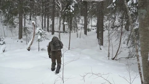 Hiking in the winter forest Video stock 148391507