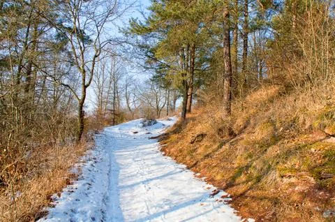 Hiking in winter Foto stock
