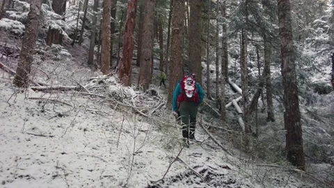 Hiking in winter through the trees Stock Footage 166717229