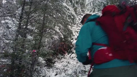 Hiking in winter through the trees Stock Footage 166717230