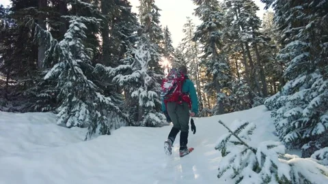 Hiking in winter through the trees Stock Footage 166717234