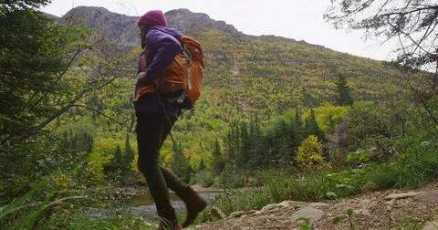 Hiking woman hiker in Autumn forest on hike in Fall mountain landscape Stock Footage
