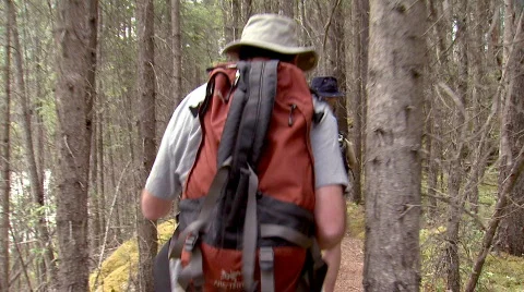 Hiking in the woods Video stock 110085