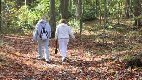 Hiking in the woods Stock Footage 8869192