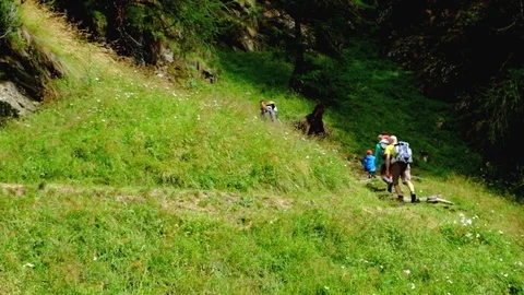 Hiking in The Woods Stock Footage 81758998