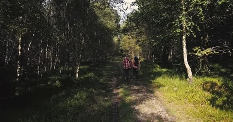 Hiking in the woods Stock Footage 82351749