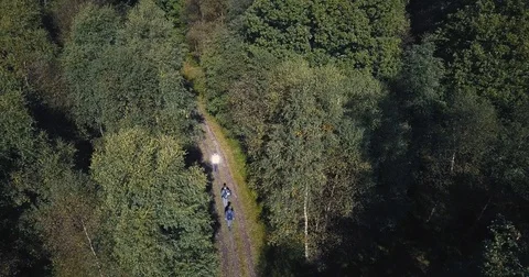 Hiking in the woods Stock Footage 82352525