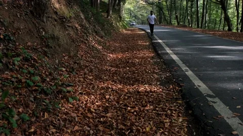 Hiking, young man walking on tree lined road, hiking on autumn Stock Footage 165848914