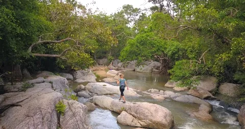 Hiking.Walking on a forest trail Stock Footage 89156973