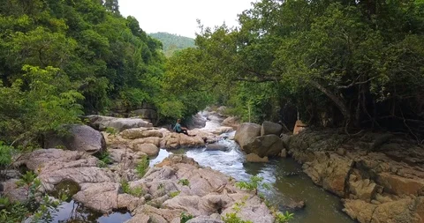 Hiking.Walking on a forest trail Stock Footage 89175776
