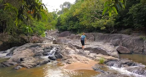 Hiking.Walking on a forest trail Stock Footage 89181571
