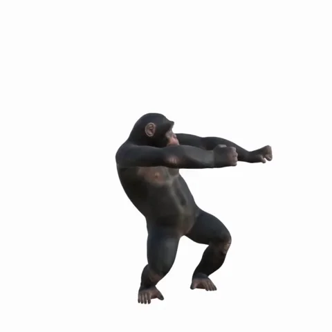 Hilarious chimpanzee dancing with funny gestures, perfect for animal humor .. Stock Footage 322794560