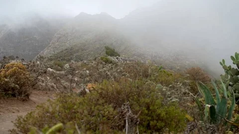 Hill And Bushes In The Wind Stock Footage 72027439