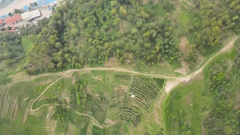 Hill &amp; Beach Video stock 146693075